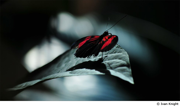 Your pictures of the week