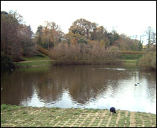 The top pond at Queen's Valley
