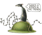 Cartoon of rat in a trench (c) Martin Brown