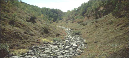 وچ خوړ