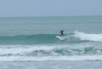 Rattz at Hickory Bay