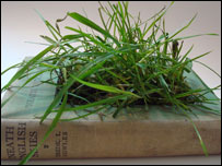 'Beneath English Skies' by Jennifer Urwin