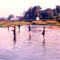 On the shores of Lough Neagh
