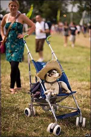 doginapram_afp.jpg