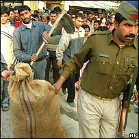 نوئیڈا