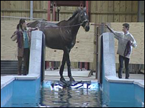 Kingscliff is lead to the special pool