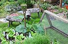 Learning to Look After Our World garden