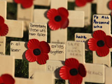 Scottish poppies in Field of Remembrance 