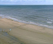 The huge beach at Laytown where the race is held