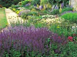 Herbaceous border