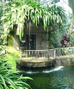 Plantasia, Abertawe.