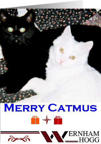 Catmus