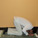 Sujud