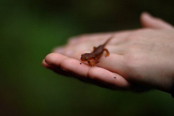 Your pictures of Tiny things. Photo by Jesse A Guzman