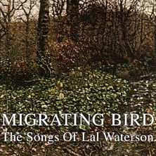 Review of Migrating Bird