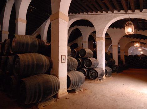 Barrels in a cellar in Spain