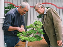 Society Treasurer Dr. Hughes