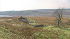 Colour view of Eaglesham Moor. In the foreground stands a small group of bare trees and the low ruins of a croft or other stone building. The edge of a loch or reservoir can be seen in a dip in the hills behind.