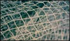Fishing Net