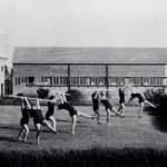 Kibbuy - Sport after work