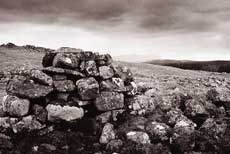 Ruins at Rossal village