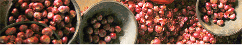 Onions for sale in Dehli