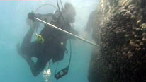 A scientist coral coring