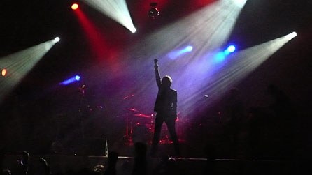 Jarvis Cocker at Green Man