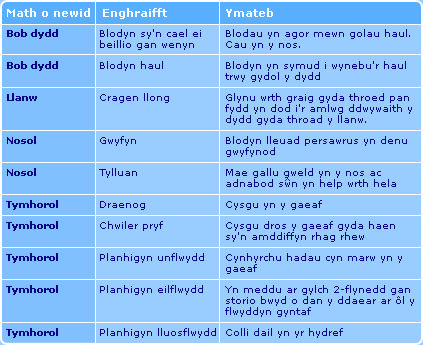 Perthnasoedd bwydo