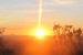 Sunrise over Tsavo National Park