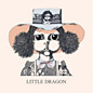 Review of Little Dragon Review of Little Dragon