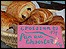 Pains au chocolat