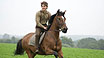 War Horse
