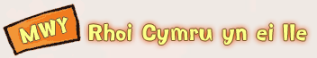 Mwy o Rhoi Cymru Yn Ei Lle