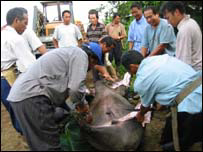 Đám mổ trâu