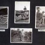 Land Army Work in Dorset, with Irene Johnson (nee Mitchell), Vera Petty, Sylvia Stovert and Margorie Robertshaw.