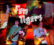 Poster for the Fen Tigers