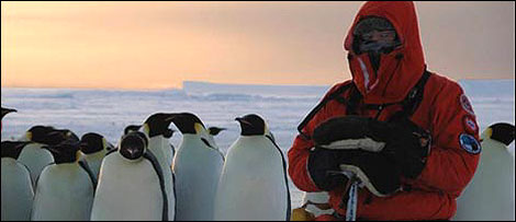 Kev O'Donnell with penguins