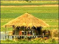 A shack in a field at Burnham Deepdale.