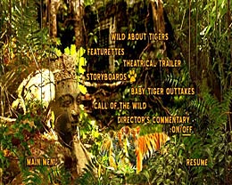 Two Brothers DVD