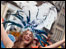 Festival-goer
