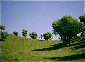 بانه
