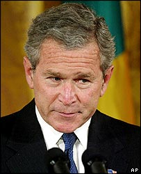 Bush