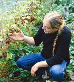 Bob Flowerdew in his garden