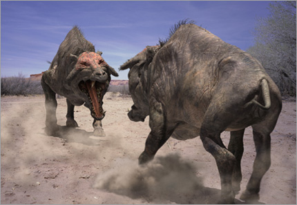 Entelodont