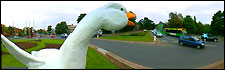 Goose Fair Goose