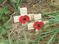 The poppy crosses placed by Duane and his wife at the spot where his great-grandfather died in the First World War