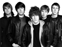 Pigeon Detectives