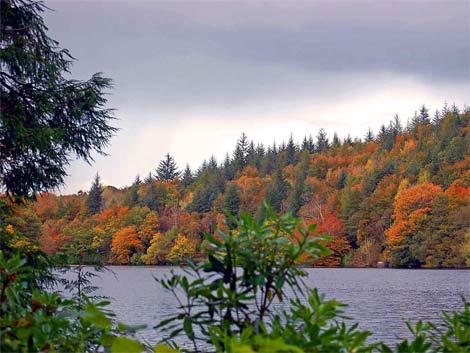 Aros Park