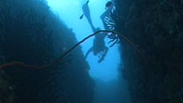 Diver in the fissure off Pemba Island